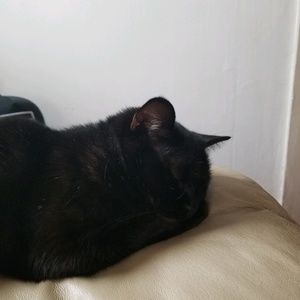 Meet your Posher, Taylor